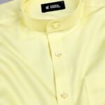 chinese_collar_yellow.4 - Copy